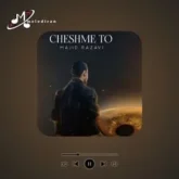 دانلود آهنگ من واست میمیرم میگیرم دستاتو آروم میشم مجید رضوی