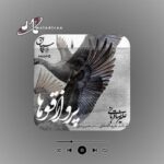دانلود آهنگ علیرضا قربانی آهنگ تاسیان