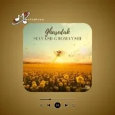 دانلود آهنگ قاصدک سیاوش قمیشی