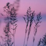 دانلود آهنگ قلب با ناز منو پس بدین