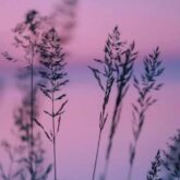 دانلود آهنگ قلب با ناز منو پس بدین