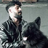 دانلود آهنگ کاشکی قیامت بشه من ببینمت